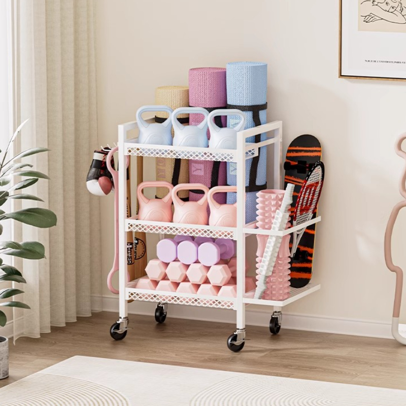 ‌ 프리미엄 피트니스 장비 정리함, 헤비듀티 스포츠 기 - Yoga Fitness Rooms 리뷰 및 가격